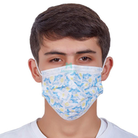 3 Ply Japanese Colored Customized Anti Germs Medical Procedure Disposable Earloop Surgical Mask with Pattern Printing