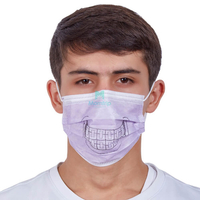 3 Ply Non Woven Dental Pattern Printed Disposable Earloop Face Mask